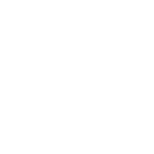 circle-border-1-1